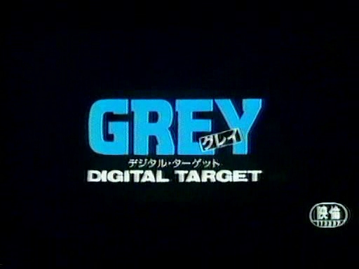 Grey Digital Target